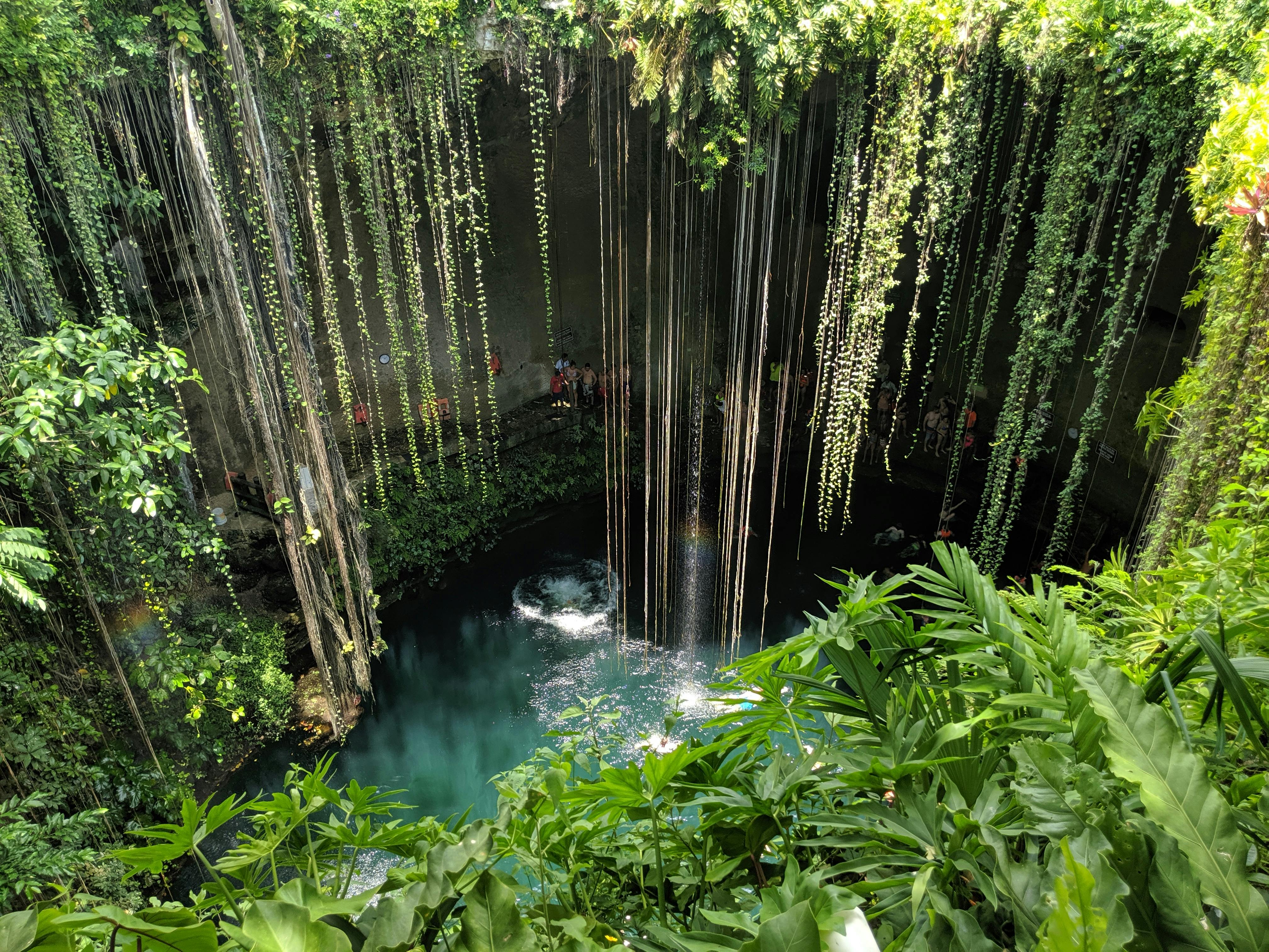 Tropische cenote met kristalblauw water